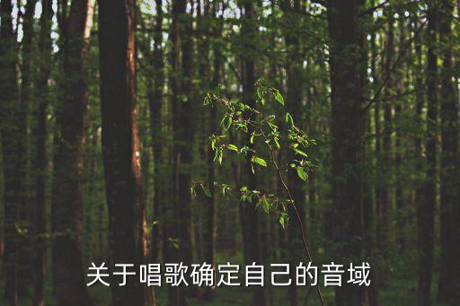 德德玛的向着太阳这歌属什么唱法，有一首歌和鸿雁曲调一样请问这歌是什么名字当年似乎是德德玛唱过