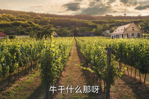 牛干什么那呀