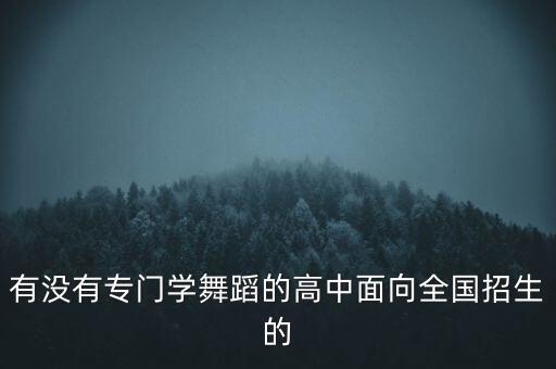 有没有专门学舞蹈的高中面向全国招生的