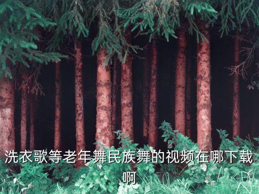 洗衣歌等老年舞民族舞的视频在哪下载啊