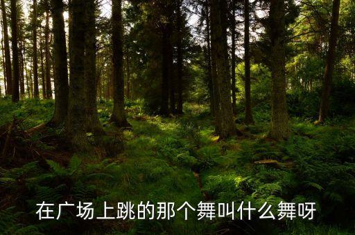 广场舞薇薇广场什么之神，跳广场舞的微信群叫什么名好