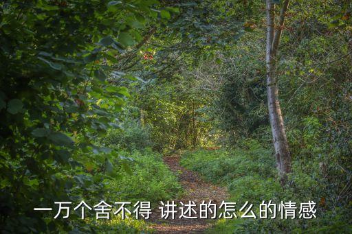 一万个舍不得 讲述的怎么的情感