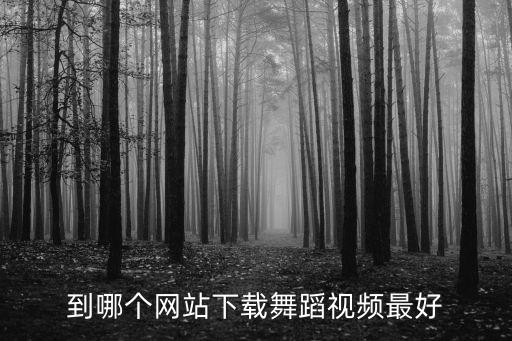 舞蹈视频去哪里下载，到哪个网站下载舞蹈视频最好