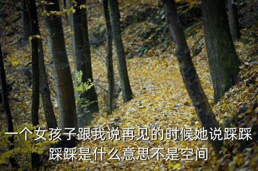 一个女孩子跟我说再见的时候她说踩踩踩踩是什么意思不是空间