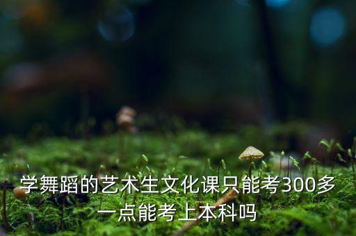 学舞蹈的艺术生文化课只能考300多一点能考上本科吗