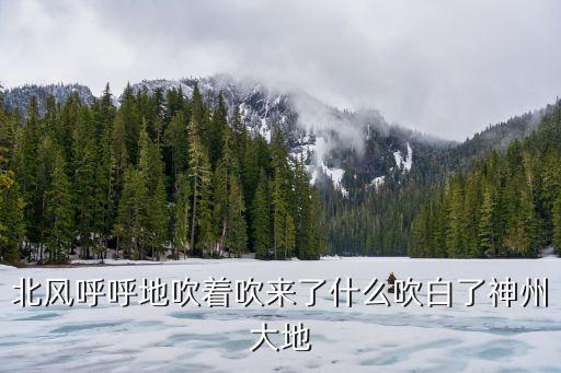 冬来了北风吹来了什么，北风呼呼地吹着吹来了什么吹白了神州大地