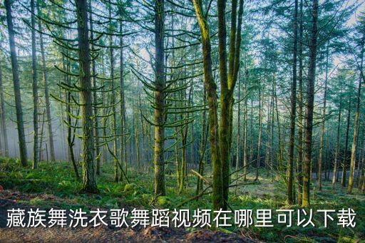 藏族舞洗衣歌舞蹈视频在哪里可以下载