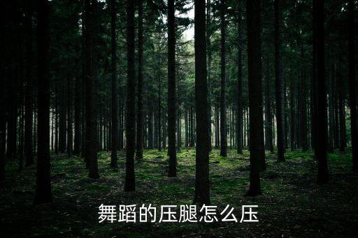 舞蹈的压腿怎么压