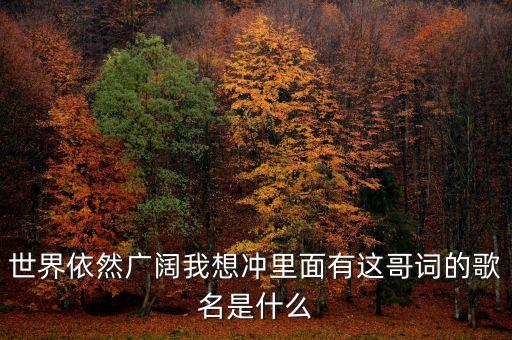 世界依然广阔我想冲里面有这哥词的歌名是什么