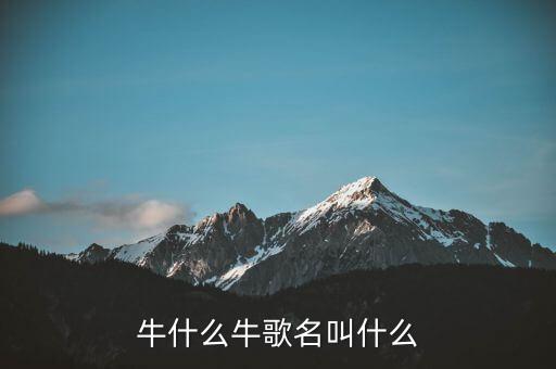 牛什么牛歌名叫什么