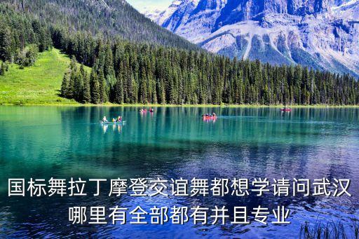 国标舞拉丁摩登交谊舞都想学请问武汉哪里有全部都有并且专业