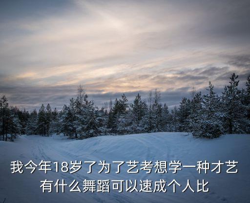 我今年18岁了为了艺考想学一种才艺有什么舞蹈可以速成个人比