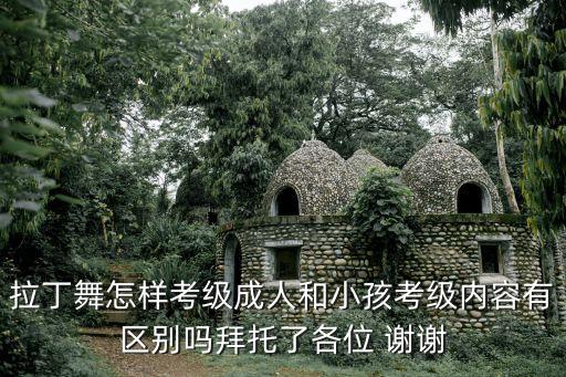拉丁舞怎样考级成人和小孩考级内容有区别吗拜托了各位 谢谢