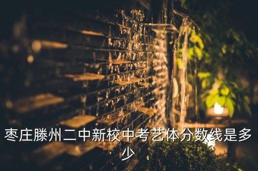 枣庄滕州二中新校中考艺体分数线是多少