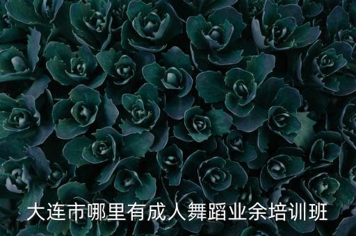 大连成人舞蹈培训班，大连市哪里有成人舞蹈业余培训班