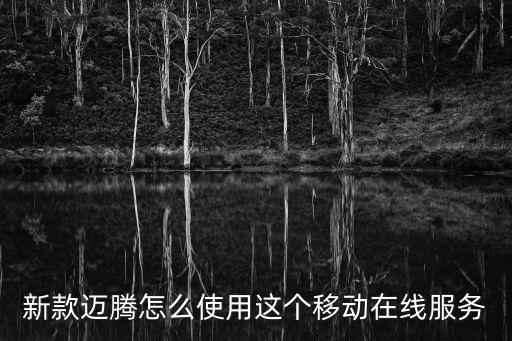 新款迈腾怎么使用这个移动在线服务