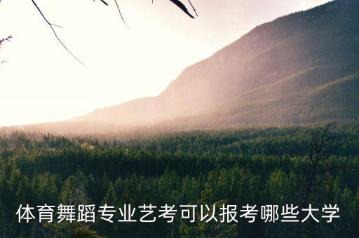体育舞蹈专业艺考可以报考哪些大学