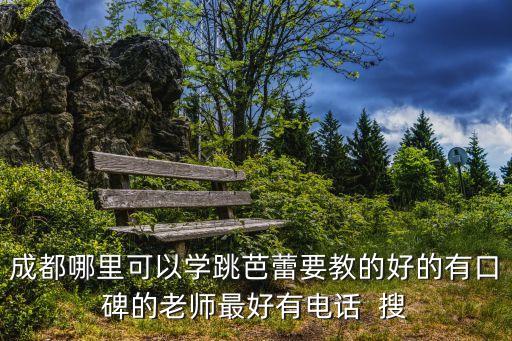 成都哪里可以学跳芭蕾要教的好的有口碑的老师最好有电话  搜