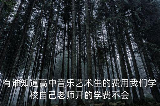 有谁知道高中音乐艺术生的费用我们学校自己老师开的学费不会