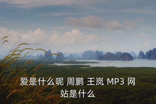 爱是什么呢 周鹏 王岚 MP3 网站是什么