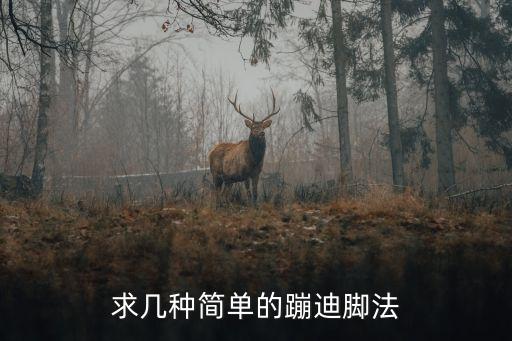 求几种简单的蹦迪脚法