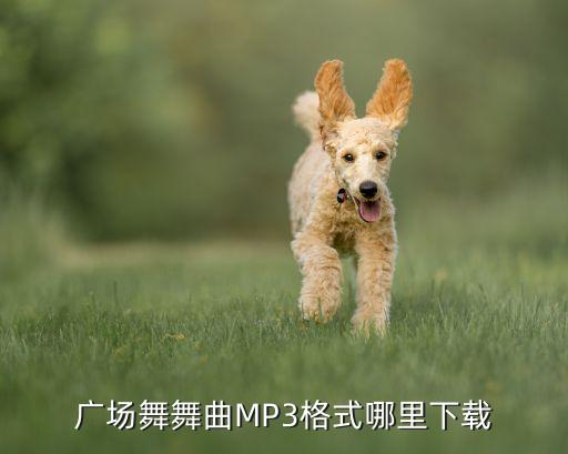 广场舞舞曲MP3格式哪里下载