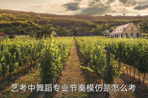 艺考中舞蹈专业节奏模仿是怎么考