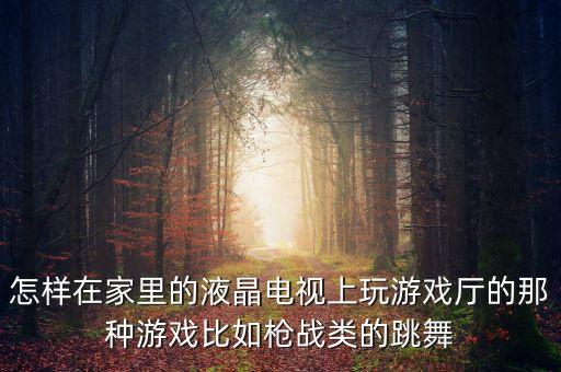 怎样在家里的液晶电视上玩游戏厅的那种游戏比如枪战类的跳舞