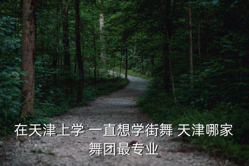 在天津上学 一直想学街舞 天津哪家舞团最专业