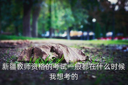 教资下半年2023报名时间新疆，新疆教师资格的考试一般都在什么时候我想考的