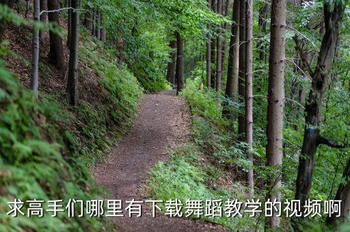 求高手们哪里有下载舞蹈教学的视频啊