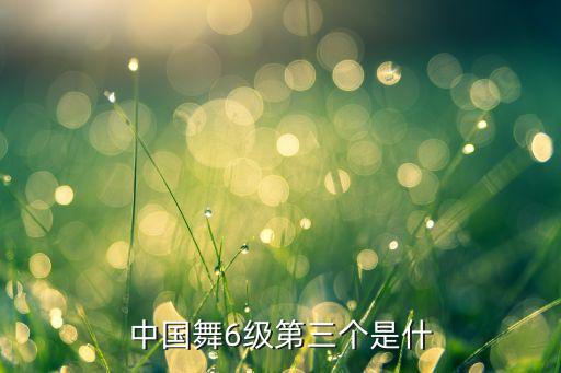 中国舞6级第三个是什