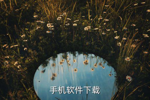 手机软件下载