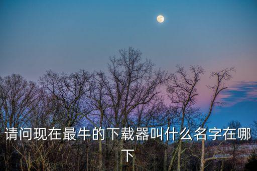 什么下载牛，什么下载工具最牛