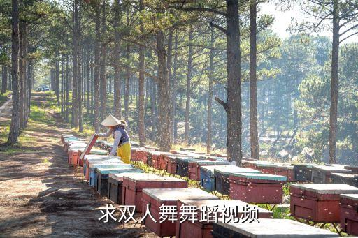 求双人舞舞蹈视频