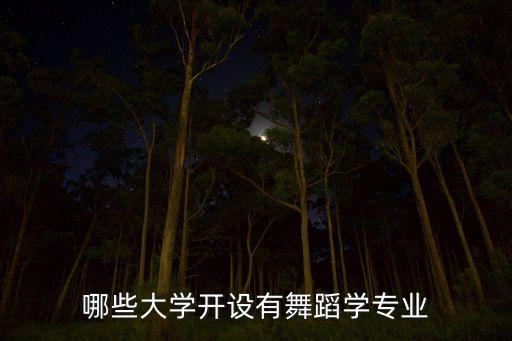 舞蹈专业可以上的大学，舞蹈专业普高生适合考什么大学