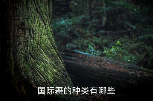 国际舞的种类有哪些