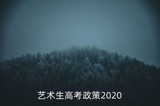 艺术生高考政策2020