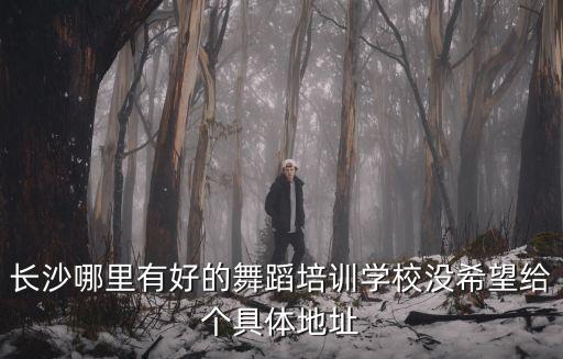 长沙哪里有好的舞蹈培训学校没希望给个具体地址