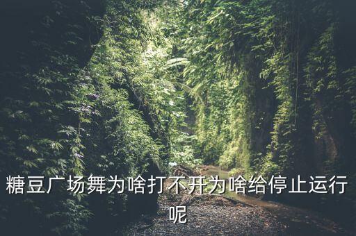 糖豆广场舞为啥打不开为啥给停止运行呢