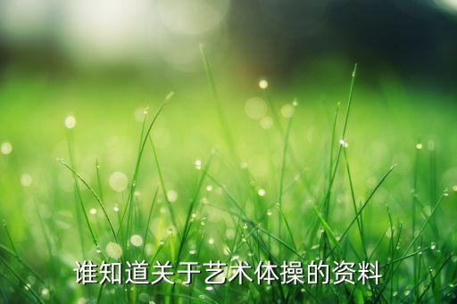 谁知道关于艺术体操的资料