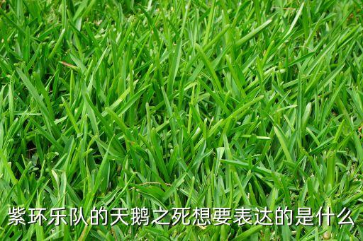 舞蹈天鹅之死表现的是什么，天鹅之死表达了作者怎样的思想感情
