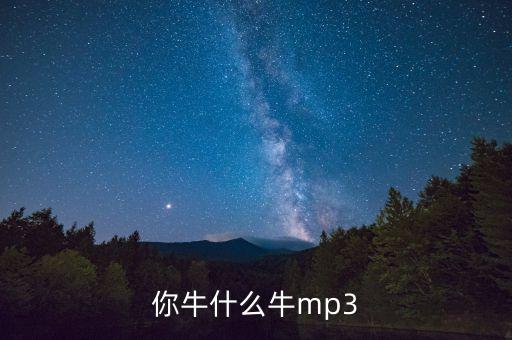 你牛什么牛mp3