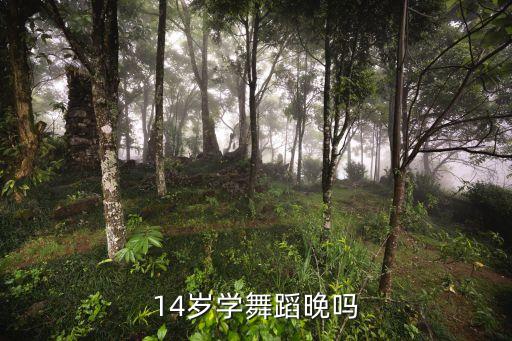 14岁学舞蹈晚吗