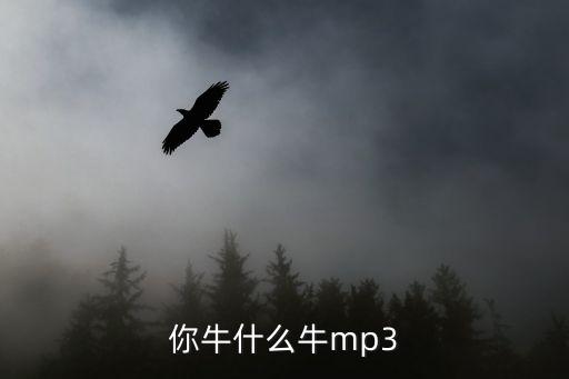 你牛什么牛mp3