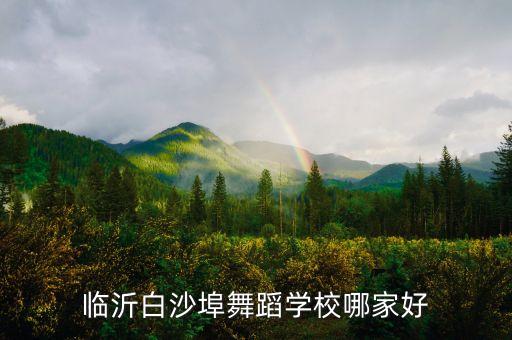 临沂白沙埠舞蹈学校哪家好