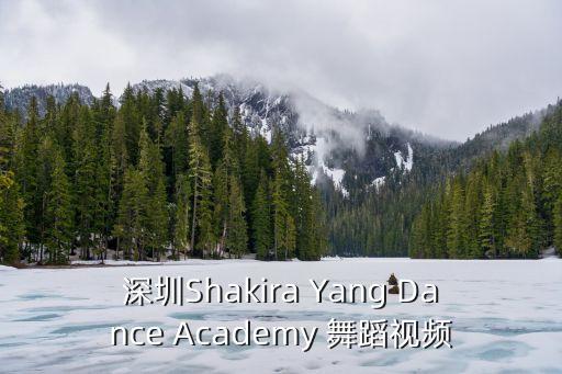 深圳Shakira Yang Dance Academy 舞蹈视频