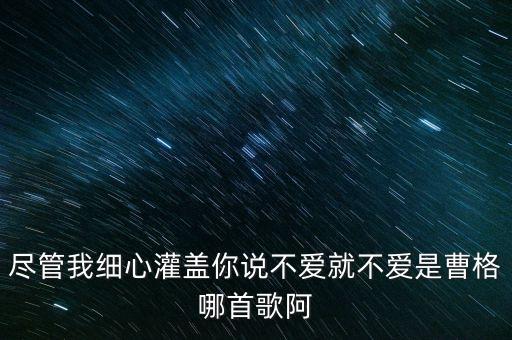 尽管我细心灌盖你说不爱就不爱是曹格哪首歌阿