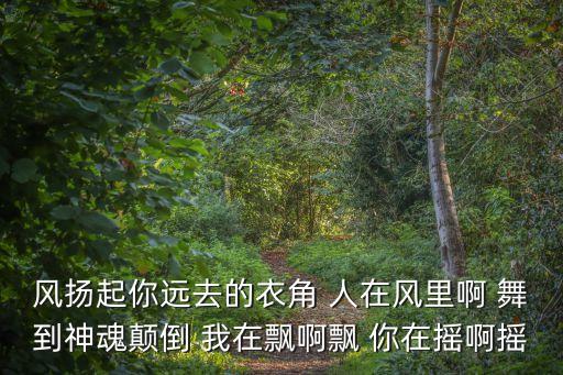 风扬起你远去的衣角 人在风里啊 舞到神魂颠倒 我在飘啊飘 你在摇啊摇