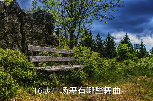 16步广场舞有哪些舞曲
